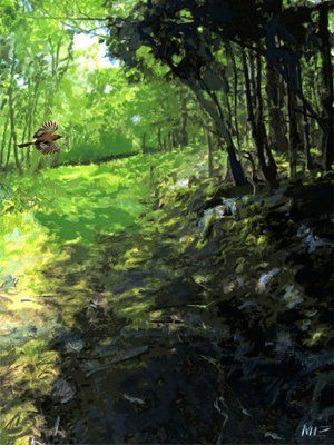 Holystone woods by MiE Fielding Low Res. From the book 'The River Coquet'. Holystone woods by MiE Fielding Low Res