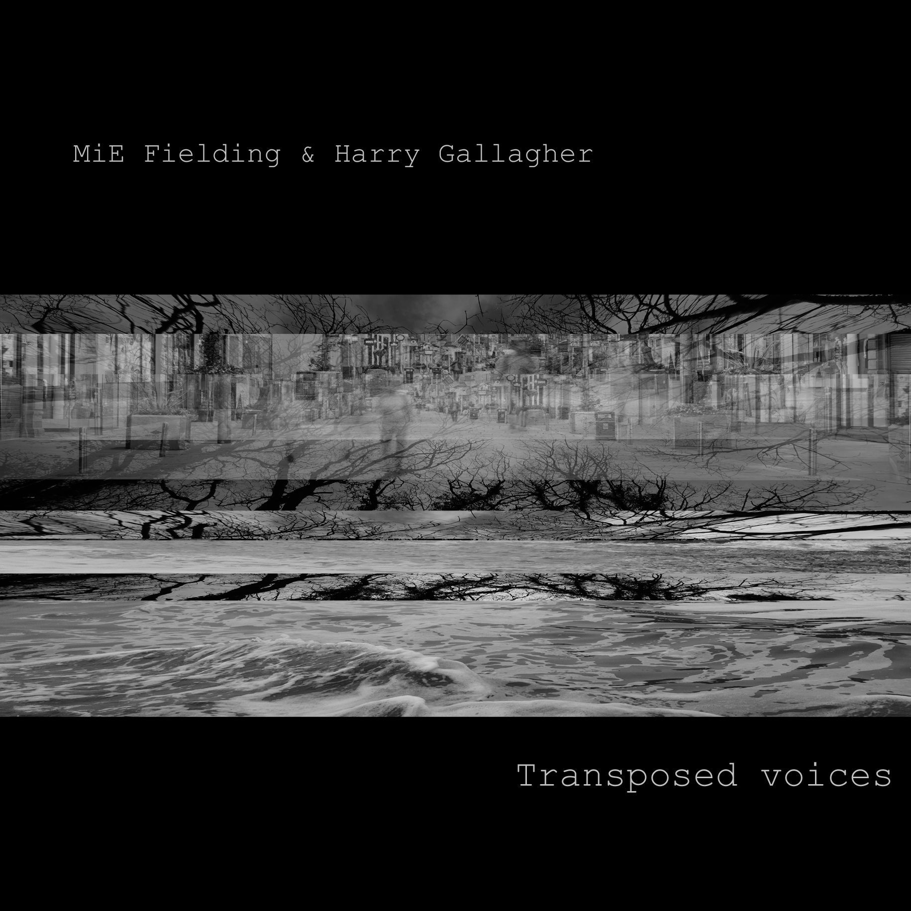 Transposed Voices MiE Fielding and Harry Gallagher