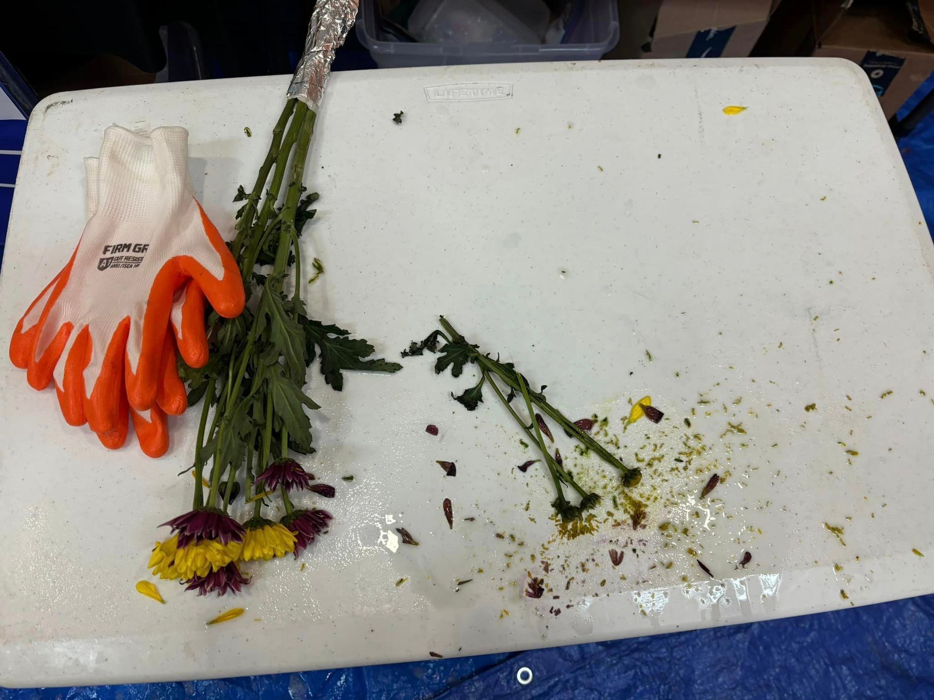 using flowers for a science experiment
