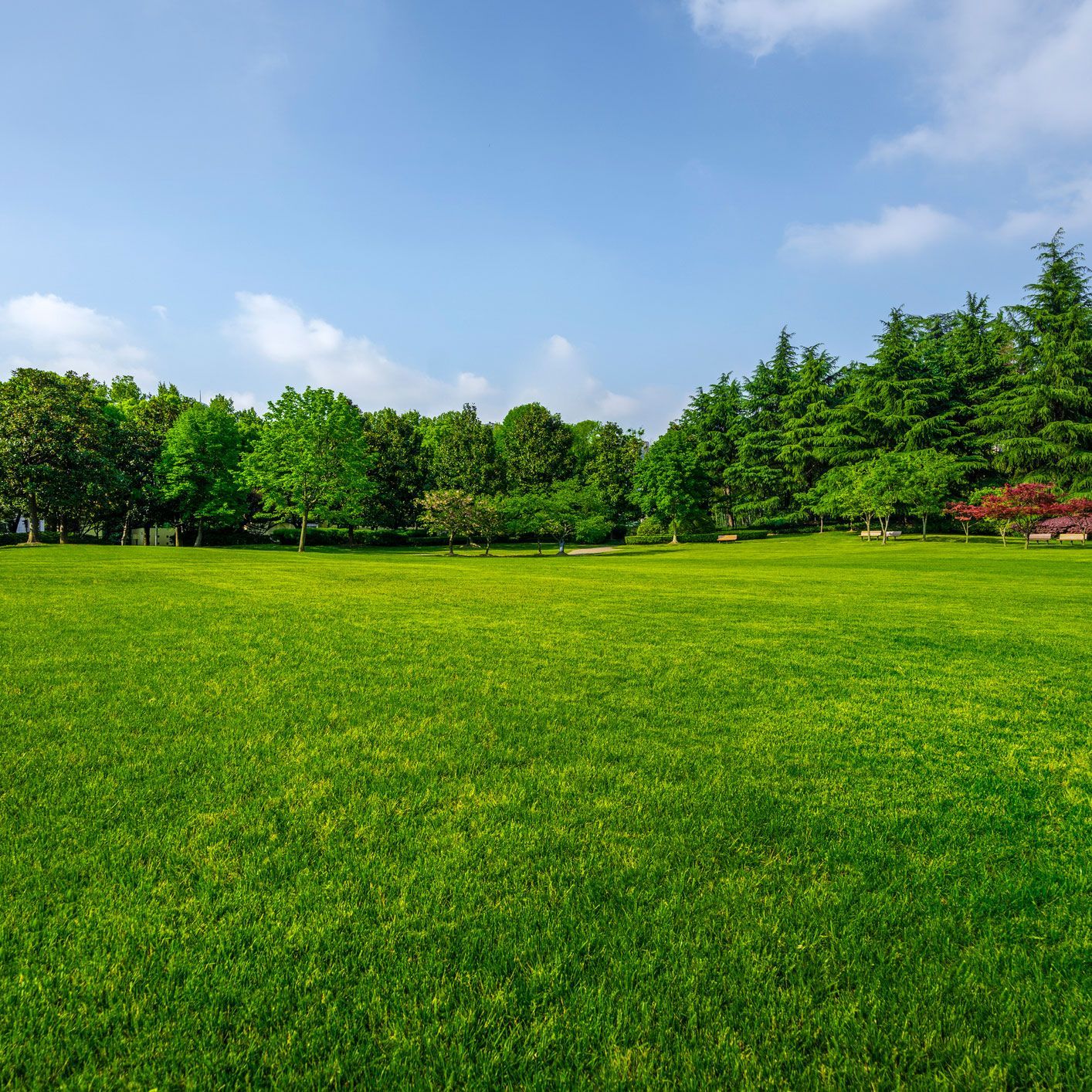 Lawn Care | Guelph, ON | Nu Image Lawn Care | Guelph, ON | Nu Image