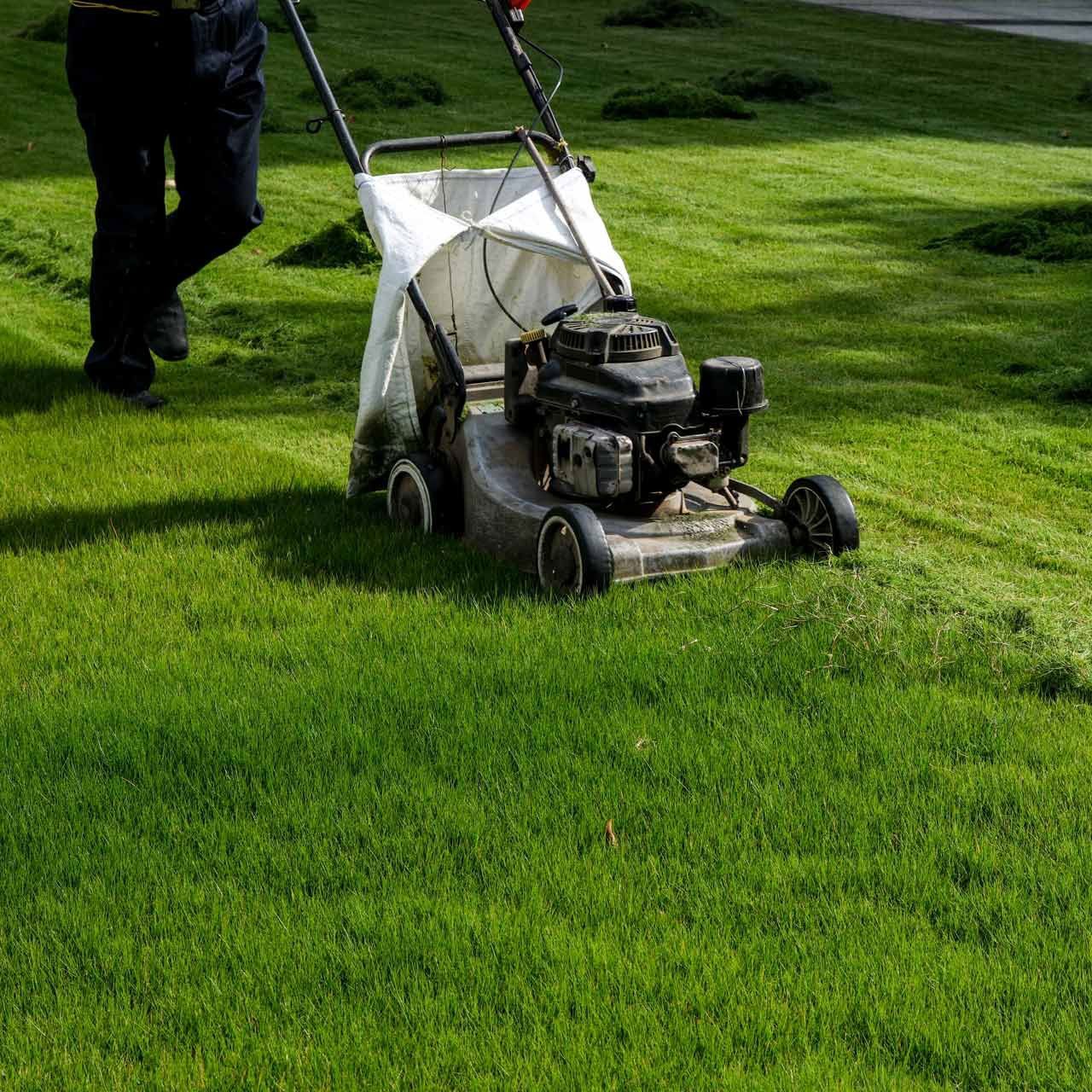 Lawn & Garden Maintenance | Guelph, ON | Nu Image Lawn & Garden Maintenance | Guelph, ON | Nu Image