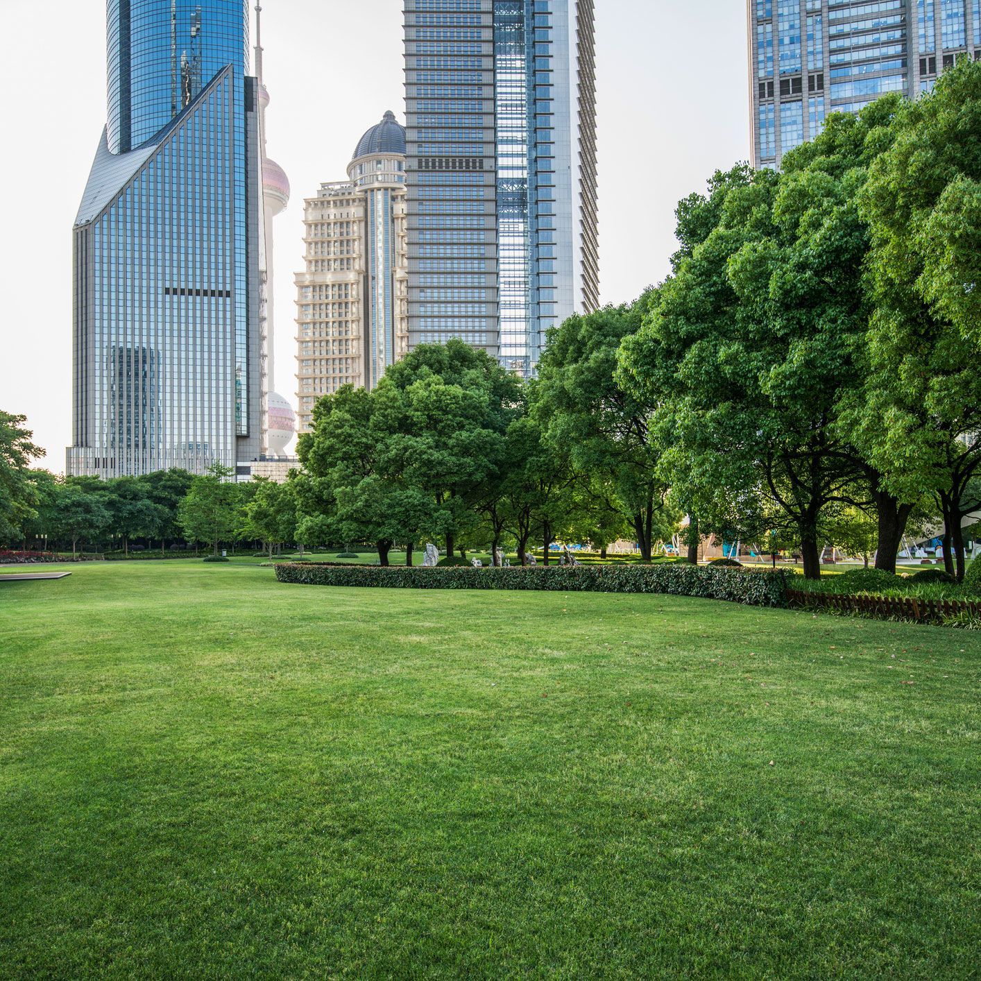 Commercial Lawn Care | Guelph, ON | Nu Image Commercial Lawn Care | Guelph, ON | Nu Image