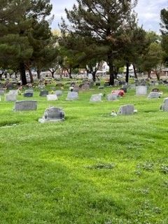 A cemetery with lots of graves and trees in the background.