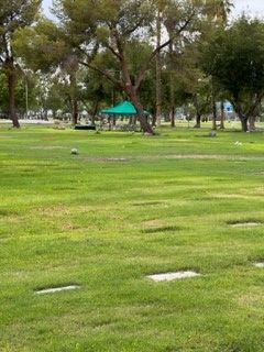 A cemetery filled with lots of green grass and trees.