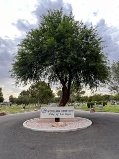 A large tree is in the middle of a cemetery.