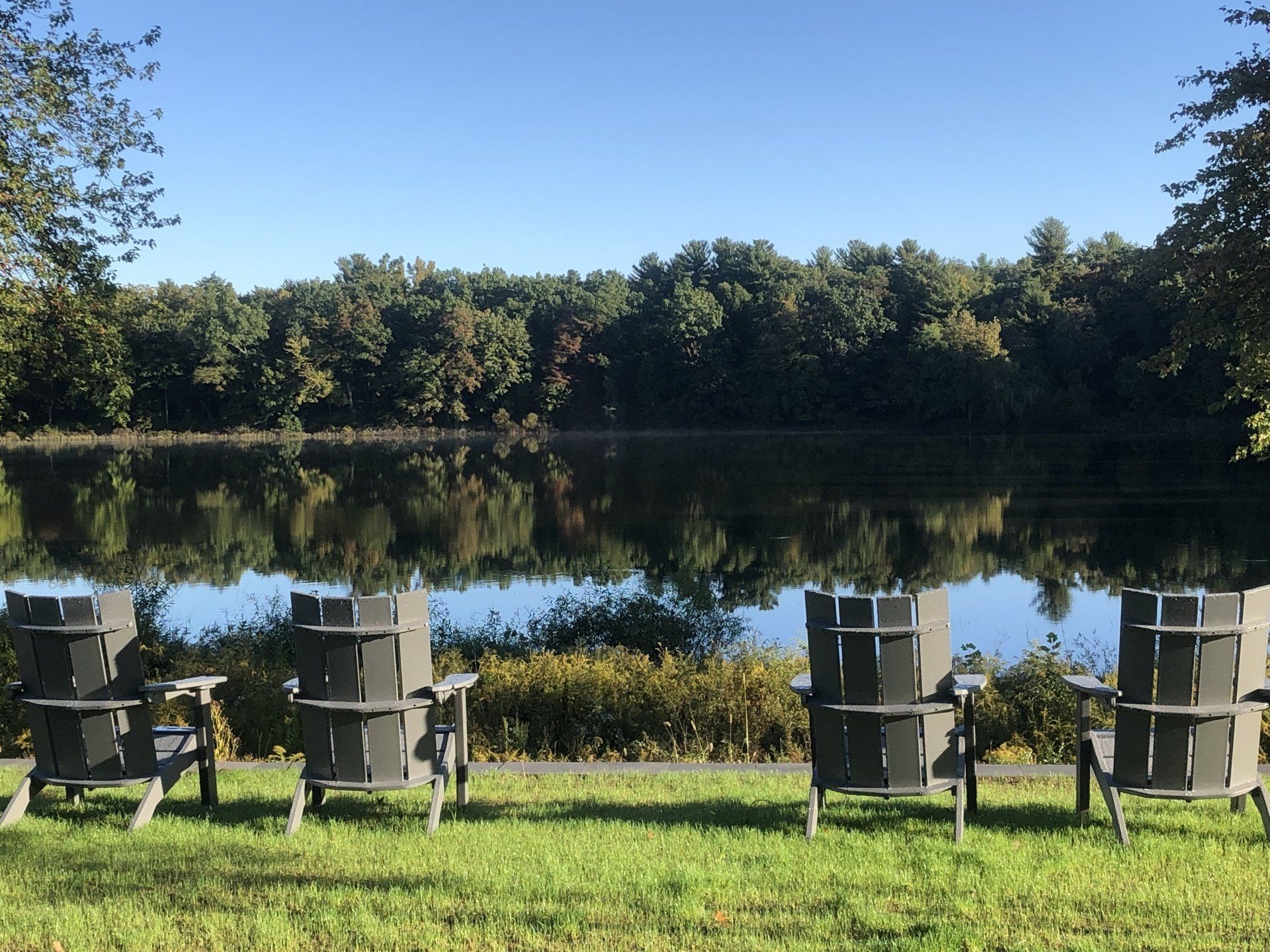 The Preserve