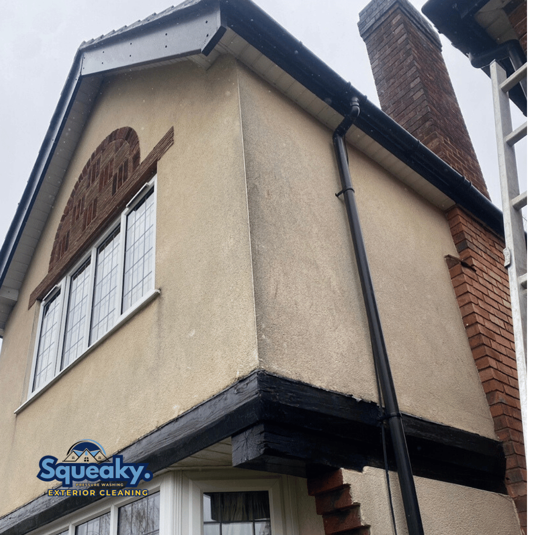 Rendering cleaning with black algae staining before softwash cleaning in Birmingham