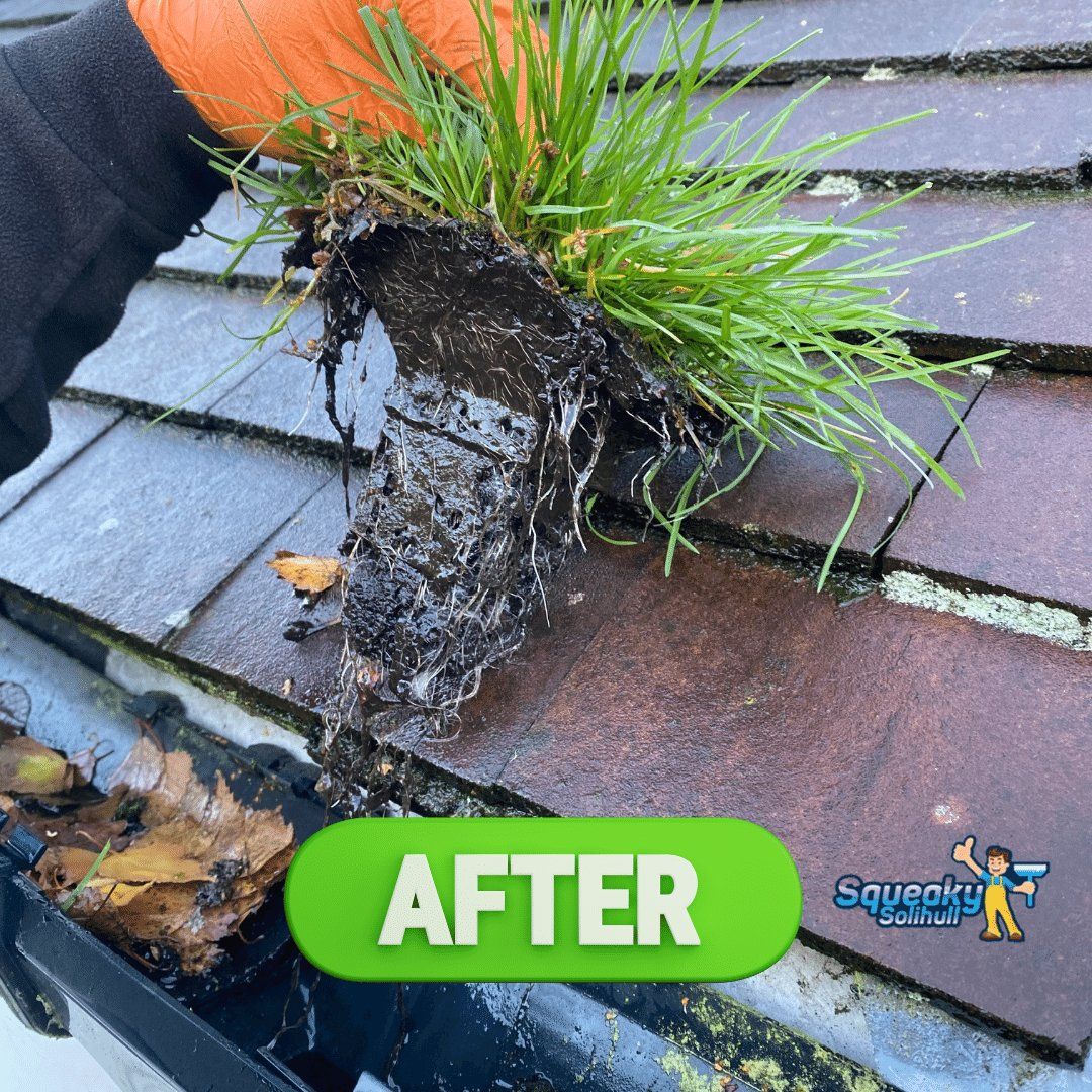 gutter cleaning service Dorridge