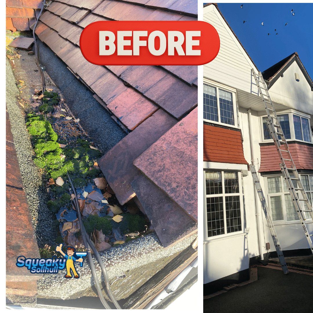 shirley gutter cleaning