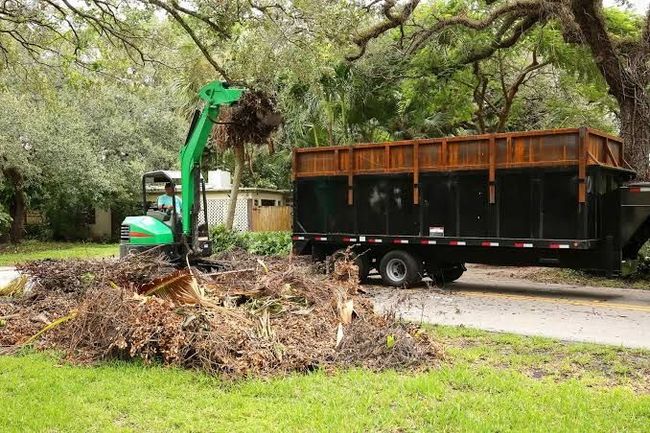 Green excavator loading tree debris into a black dump trailer on a roadside lawn