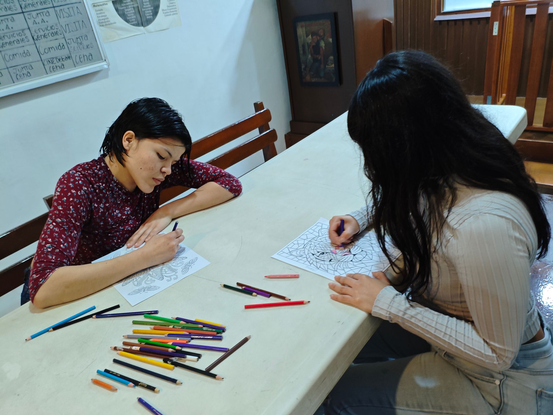 CENTRO INTEGRAL PARA ADICCIONES FEMENIL CIPAF