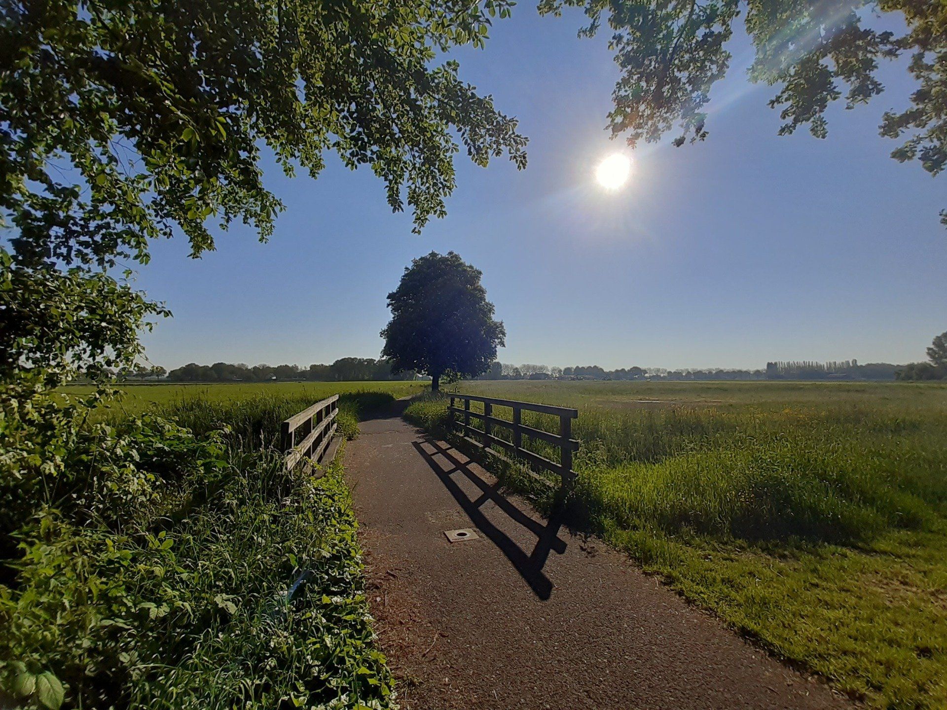 Pad over een brug in een zonnig veld, boom in de verte. Felle zon en blauwe lucht.