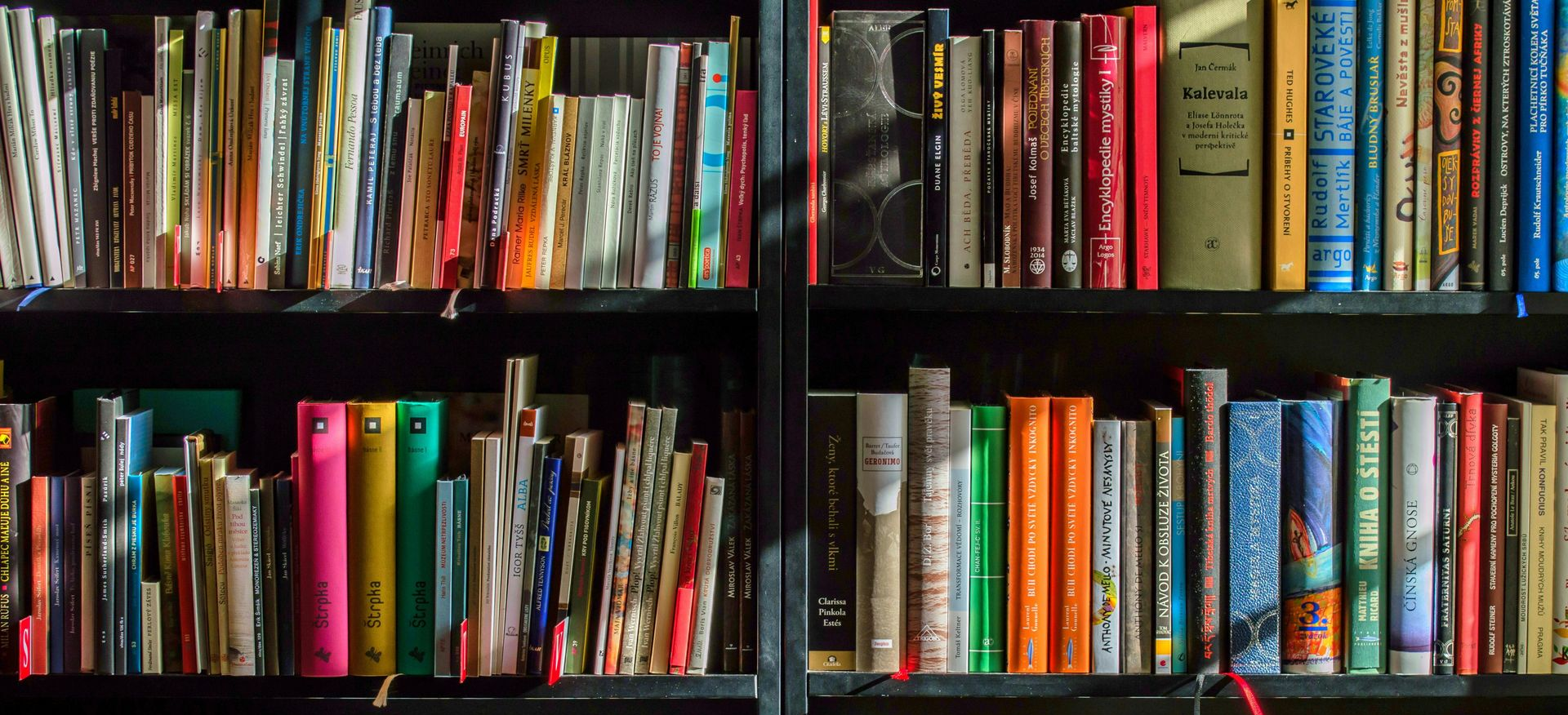 Boekenkasten vol kleurrijke boeken.