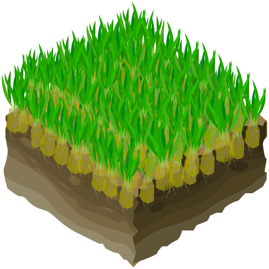 A cartoon illustration of a patch of grass growing out of the ground.