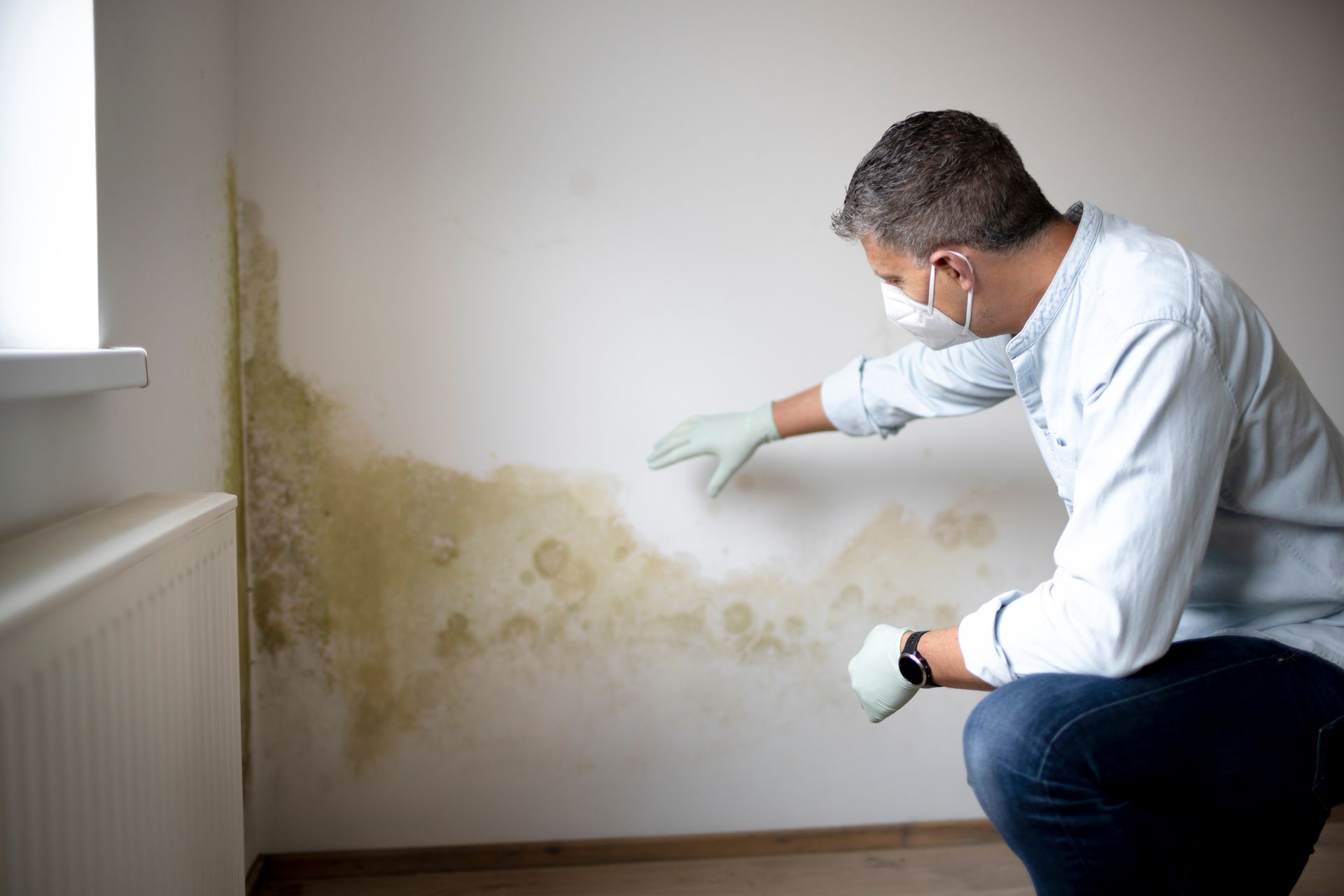 A man wearing a mask and gloves is inspecting a wall for mold.