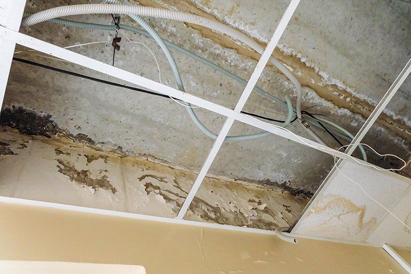 Damaged ceiling with water leak