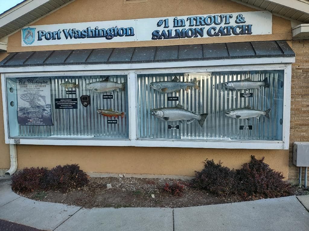 A sign for port washington trout and salmon catch