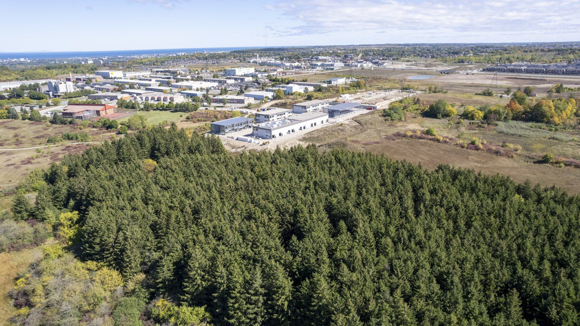 An aerial view of a forest with a city in the background.