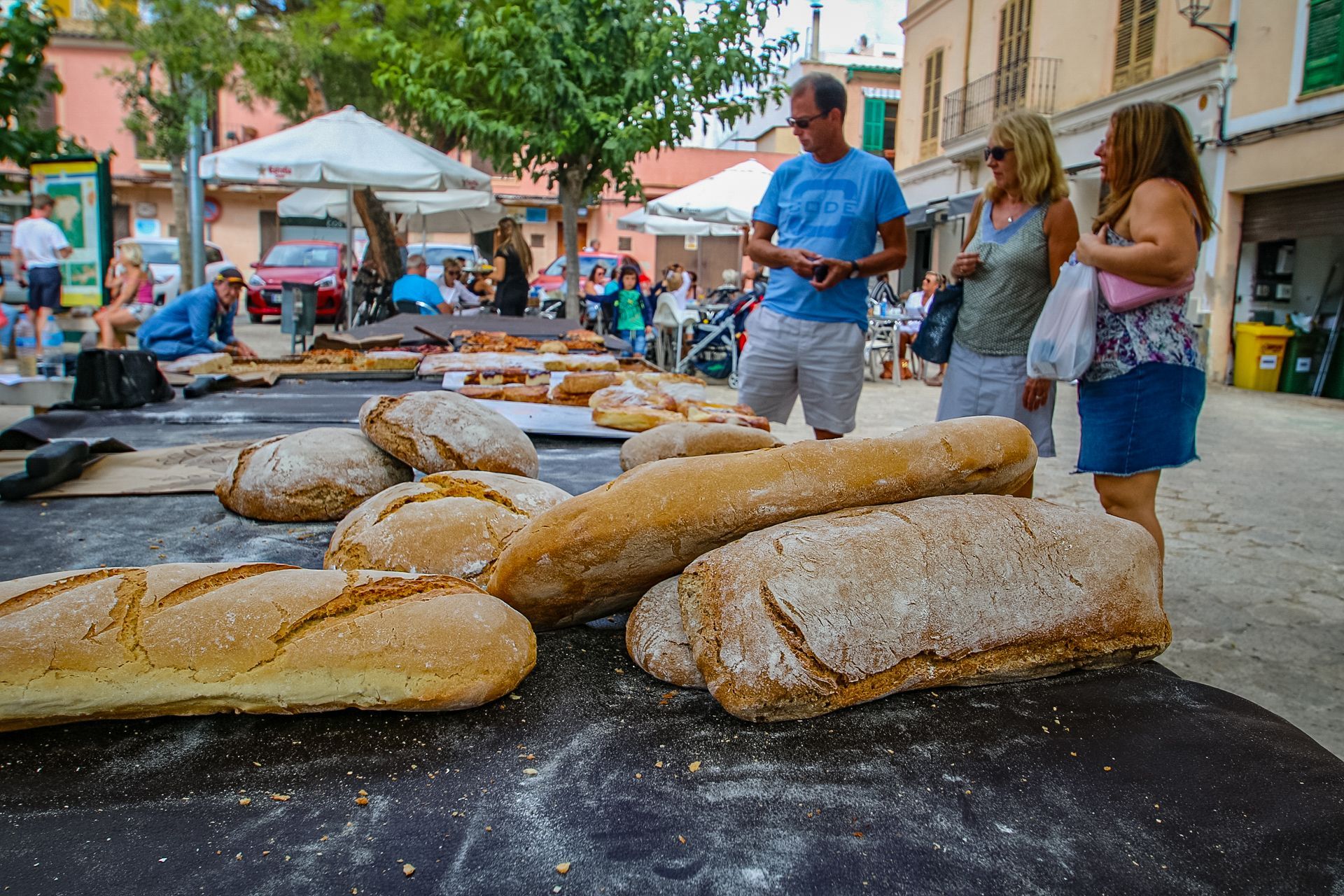 Andratx, Mallorca, Majorca, Spain