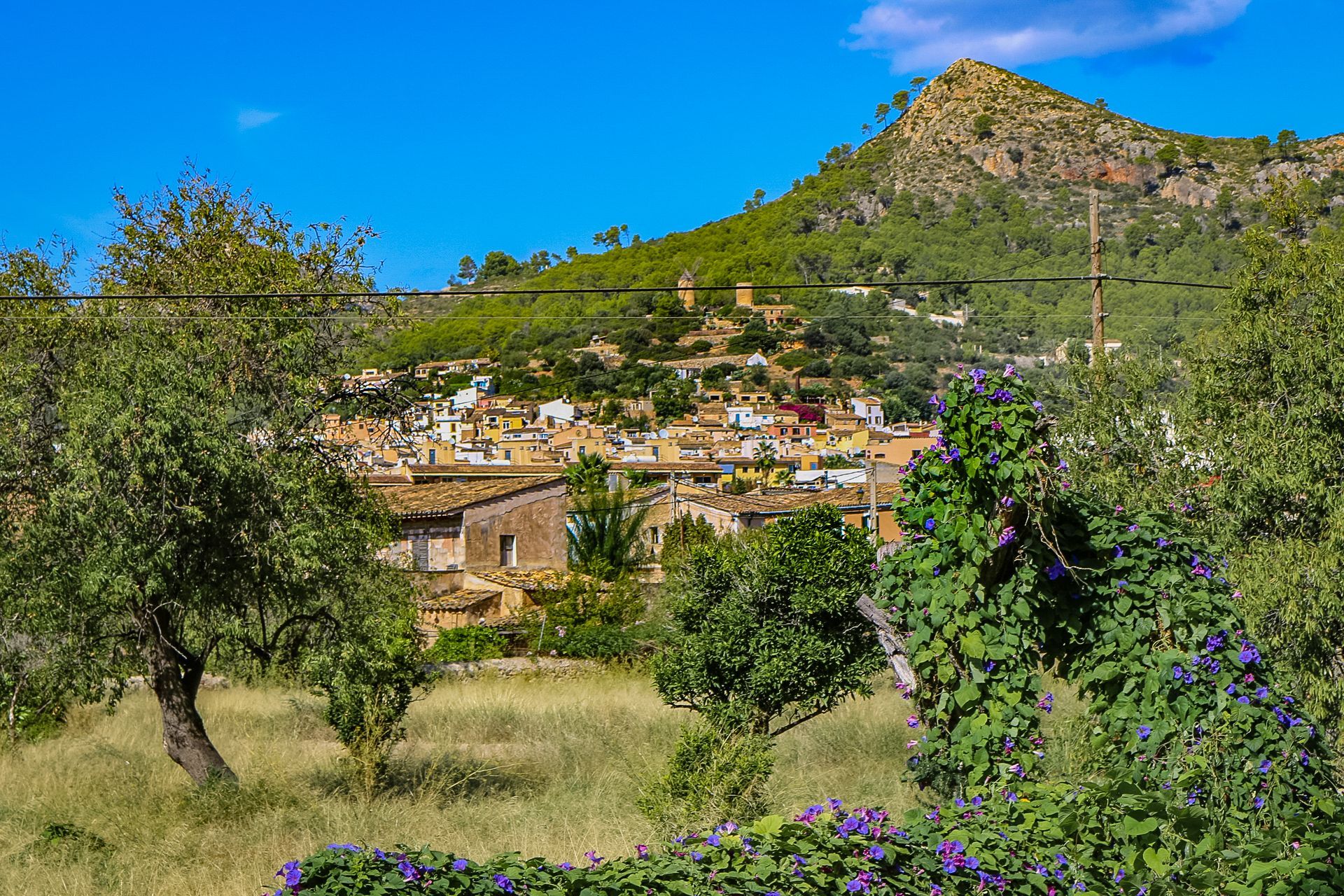 Andratx, Mallorca, Majorca, Spain