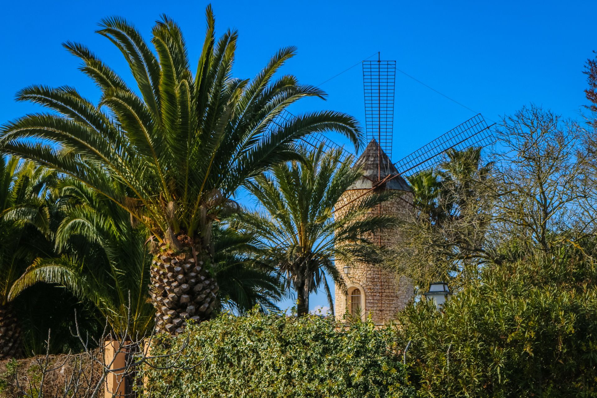 Ariany, Mallorca, Majorca, Spain