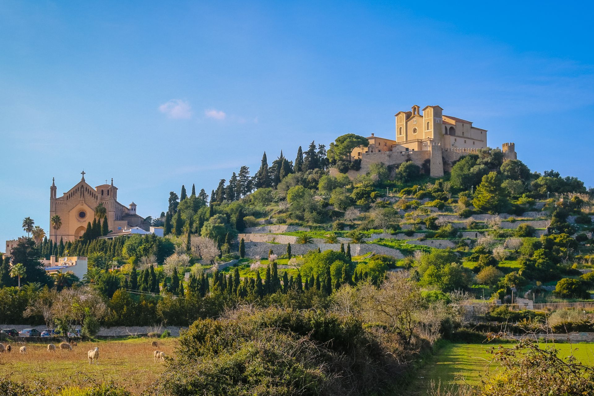 Arta, Mallorca, Majorca, Spain