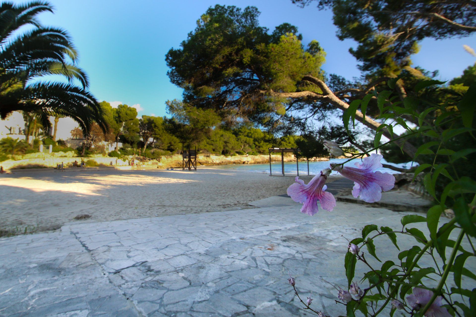 Cala Gran, Mallorca, Majorca, Spain