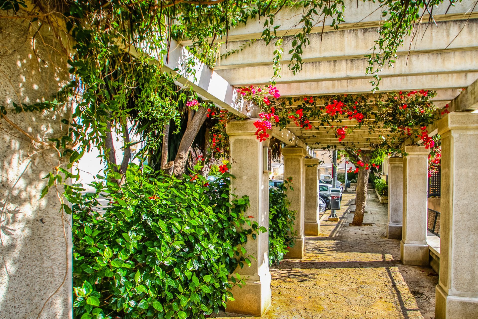 Calvia, Mallorca, Majorca