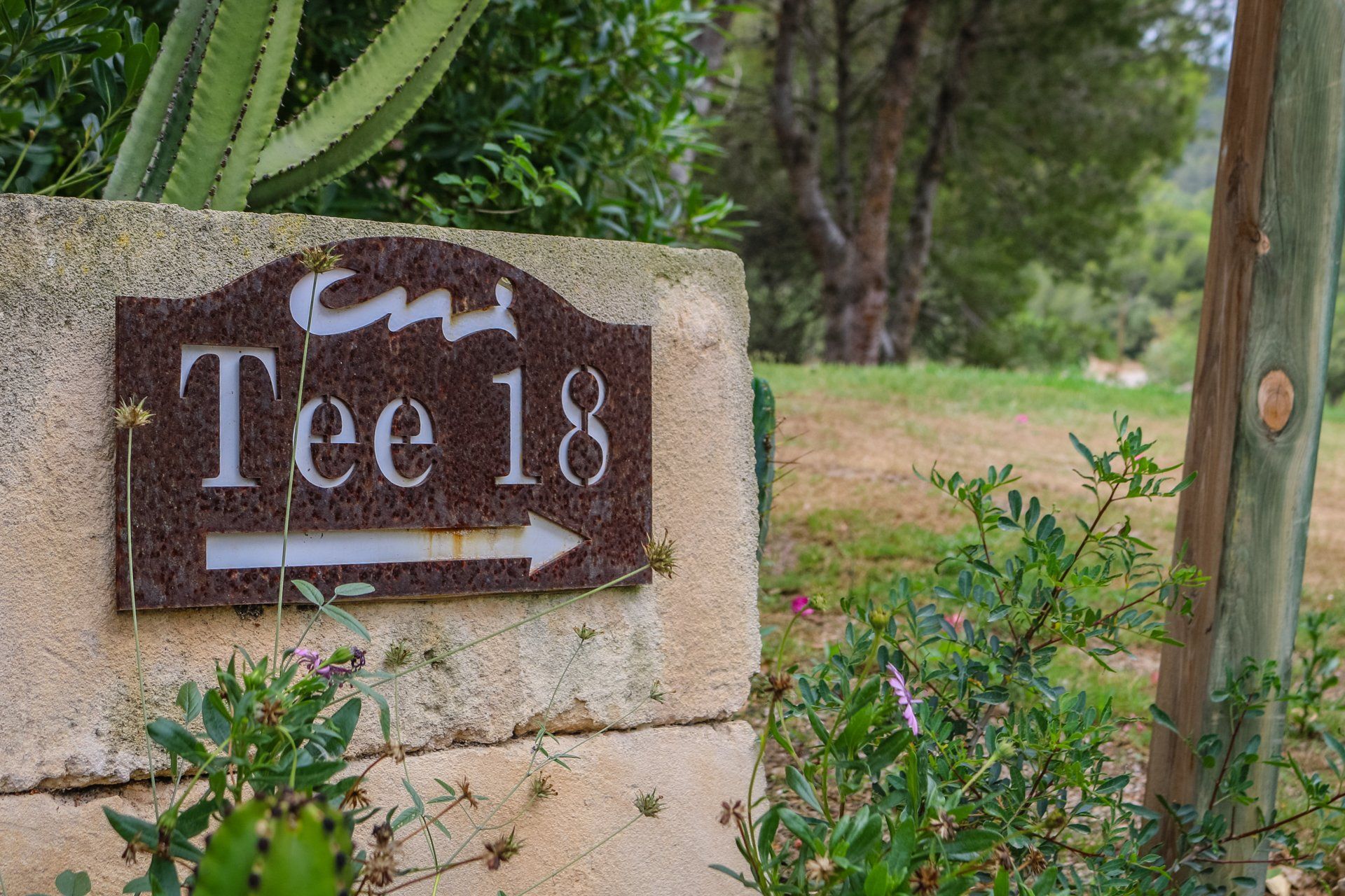 Camp de Mar, Mallorca, Majorca