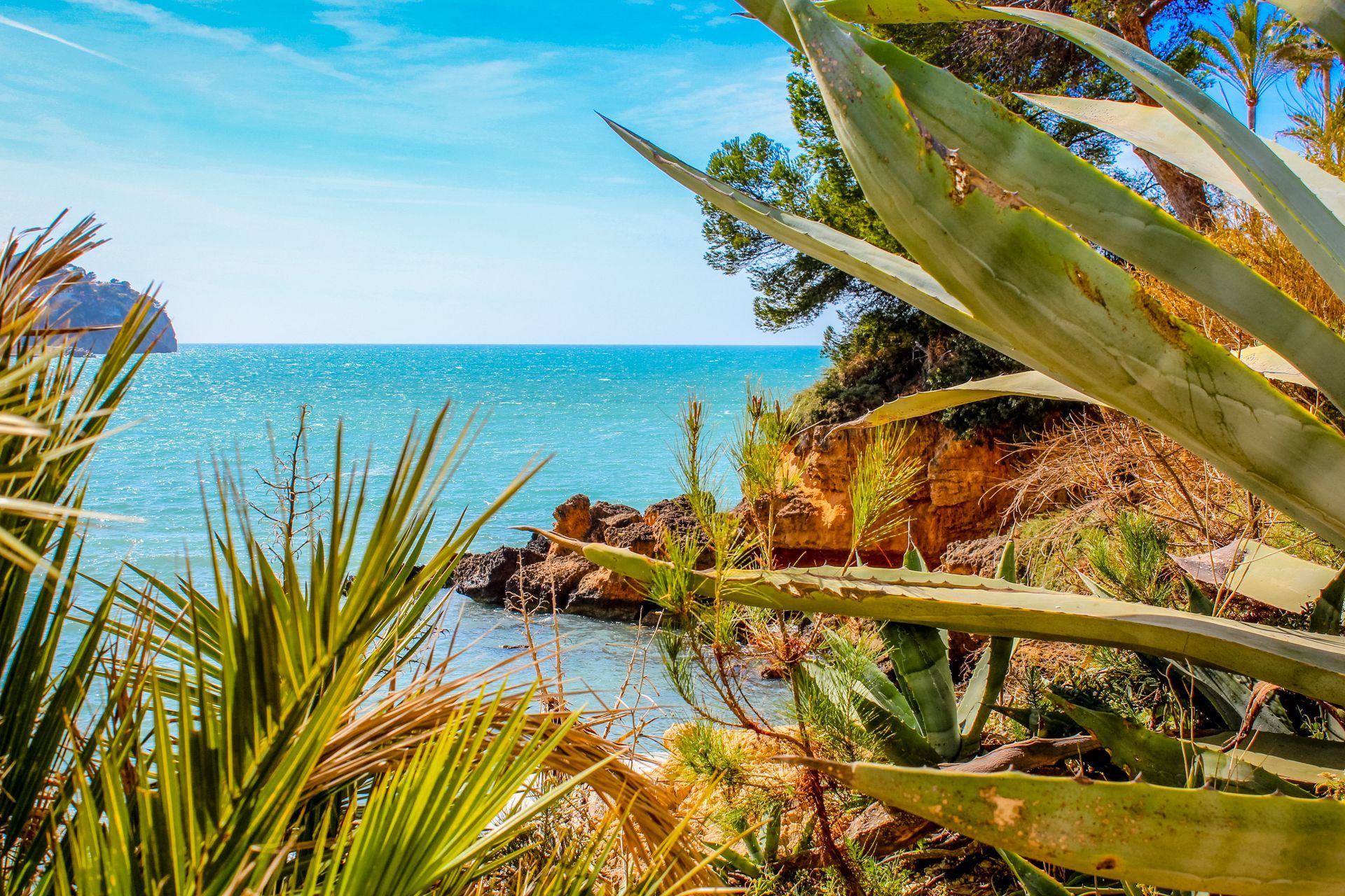 Costa de la Calma, Mallorca, Majorca