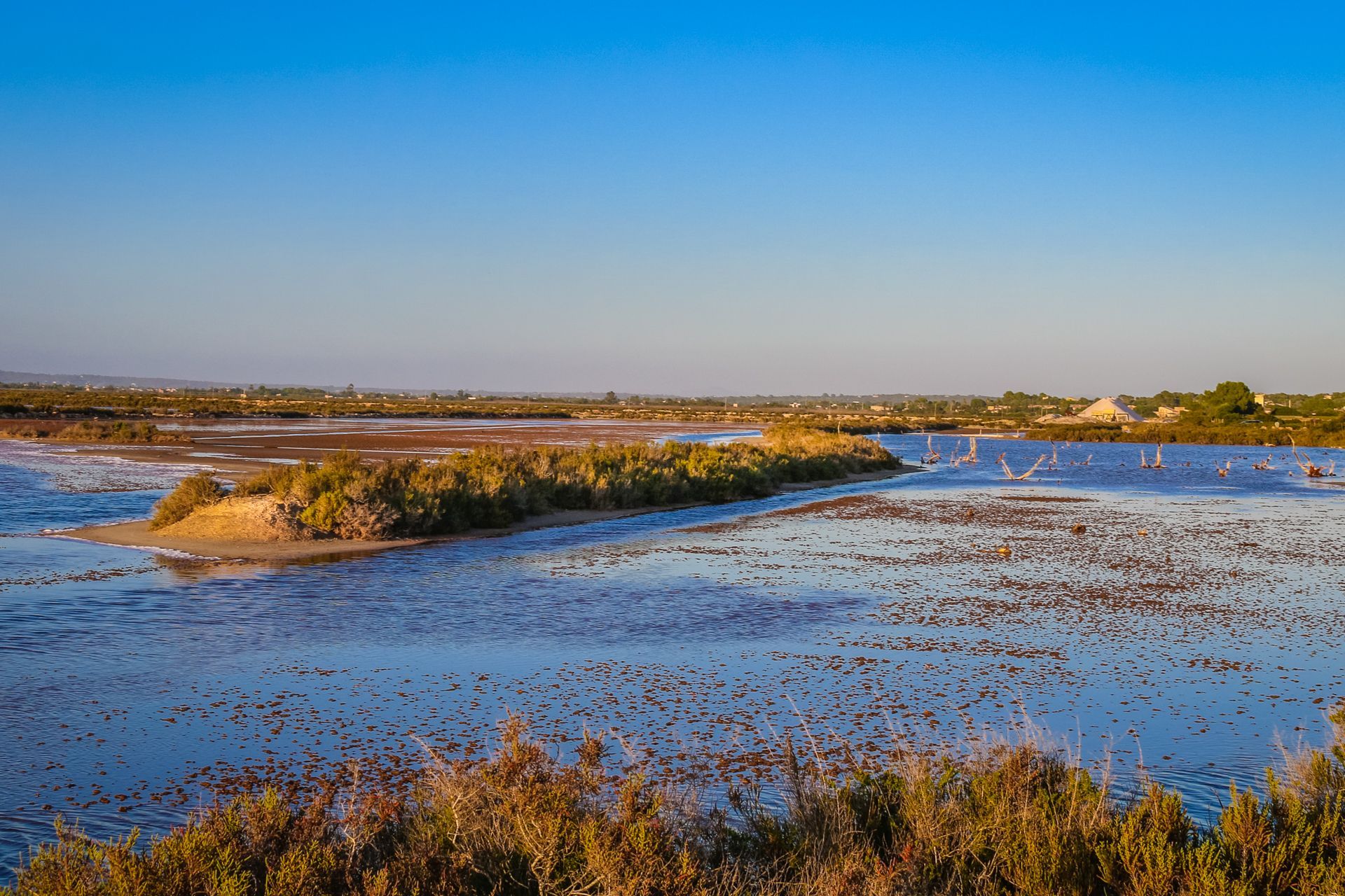 Ses Salines, Mallorca, Majorca, Spain