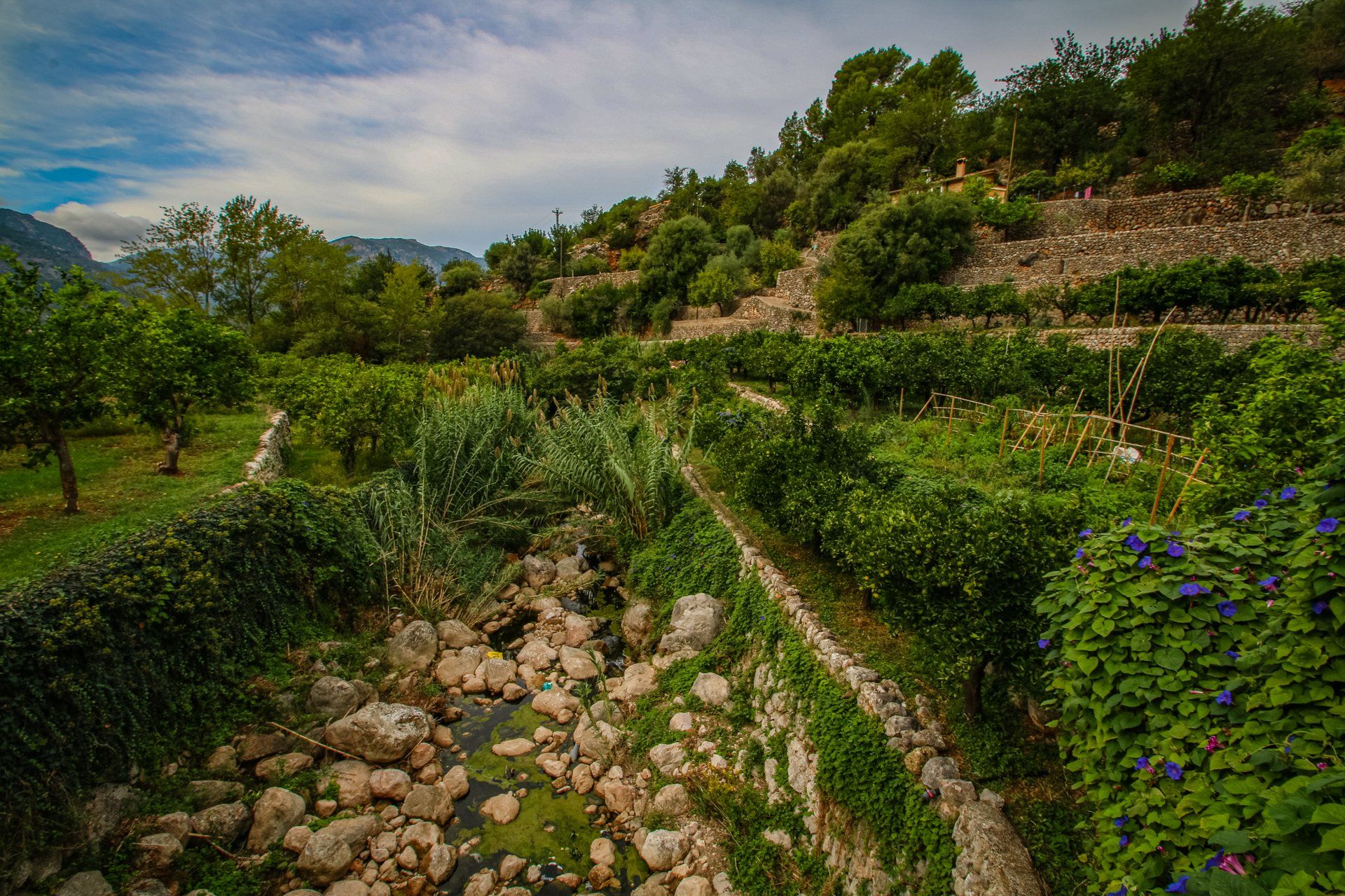 Fornalutx, Mallorca, Majorca