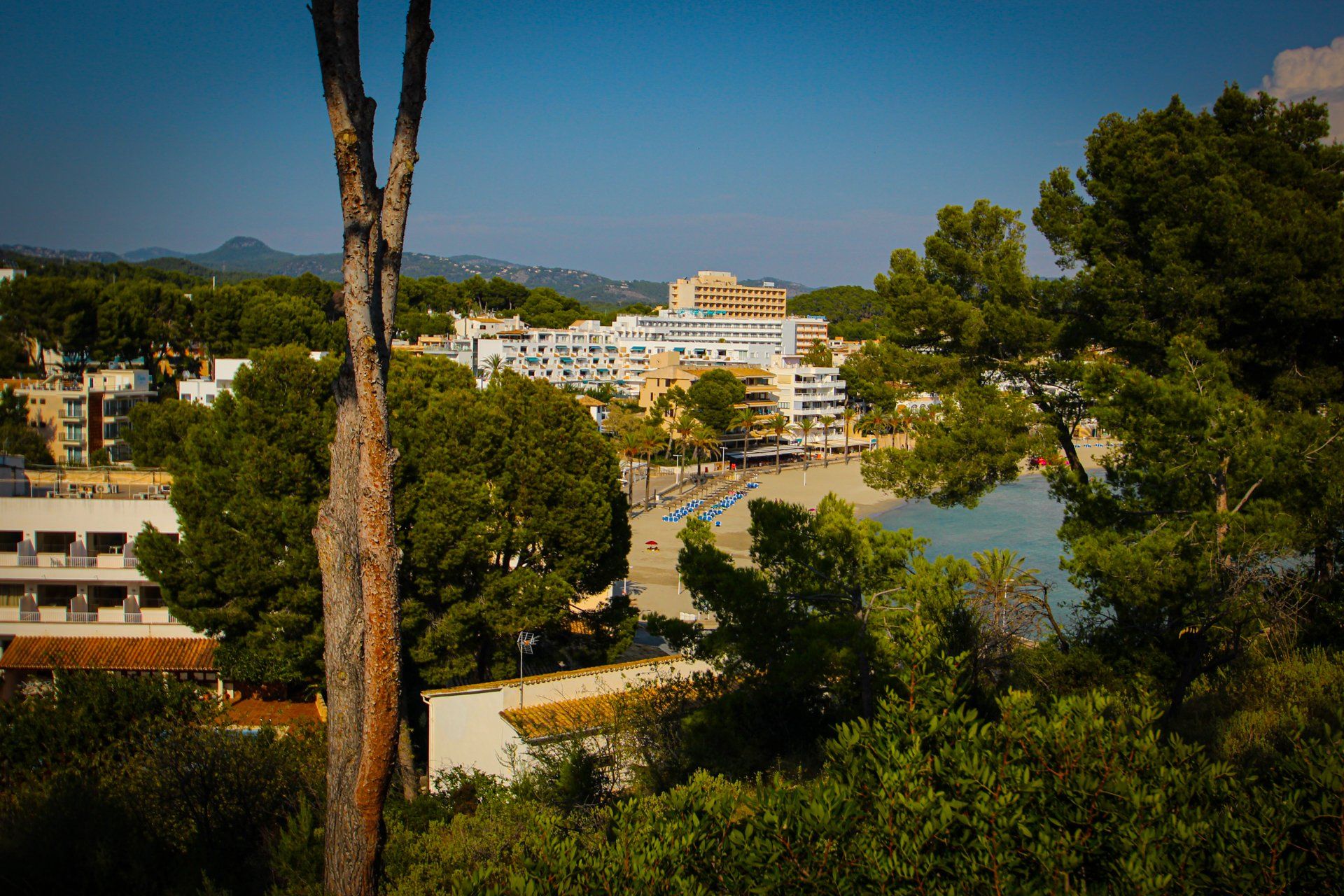 Paguera, Mallorca, Majorca, SpainPaguera, Mallorca, Majorca, Spain