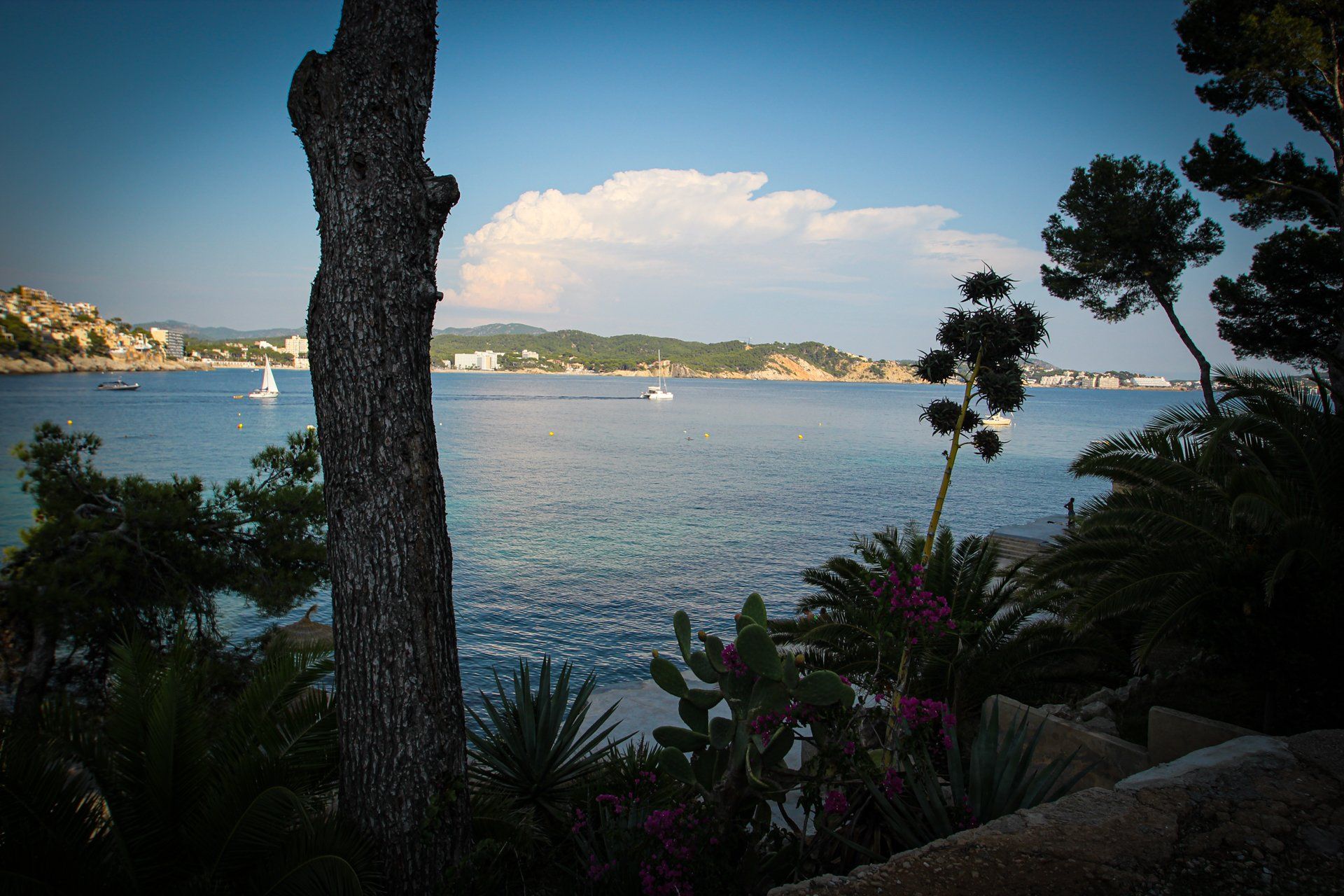 Cala Fornells, Mallorca, Majorca, Spain