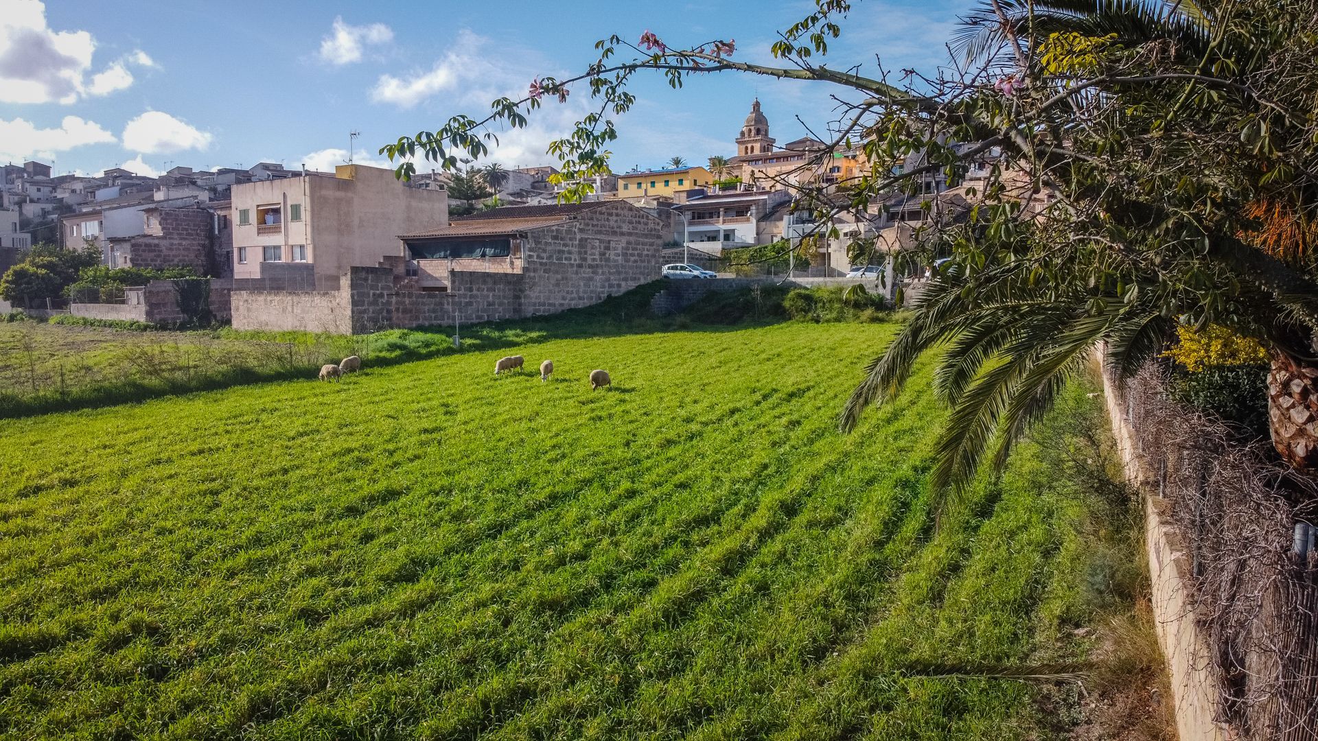 Marratxi, Mallorca, Majorca, Spain