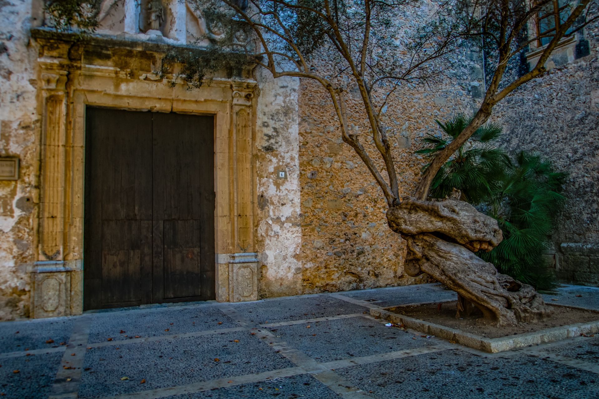 Pollenca, Mallorca, Majorca, Spain