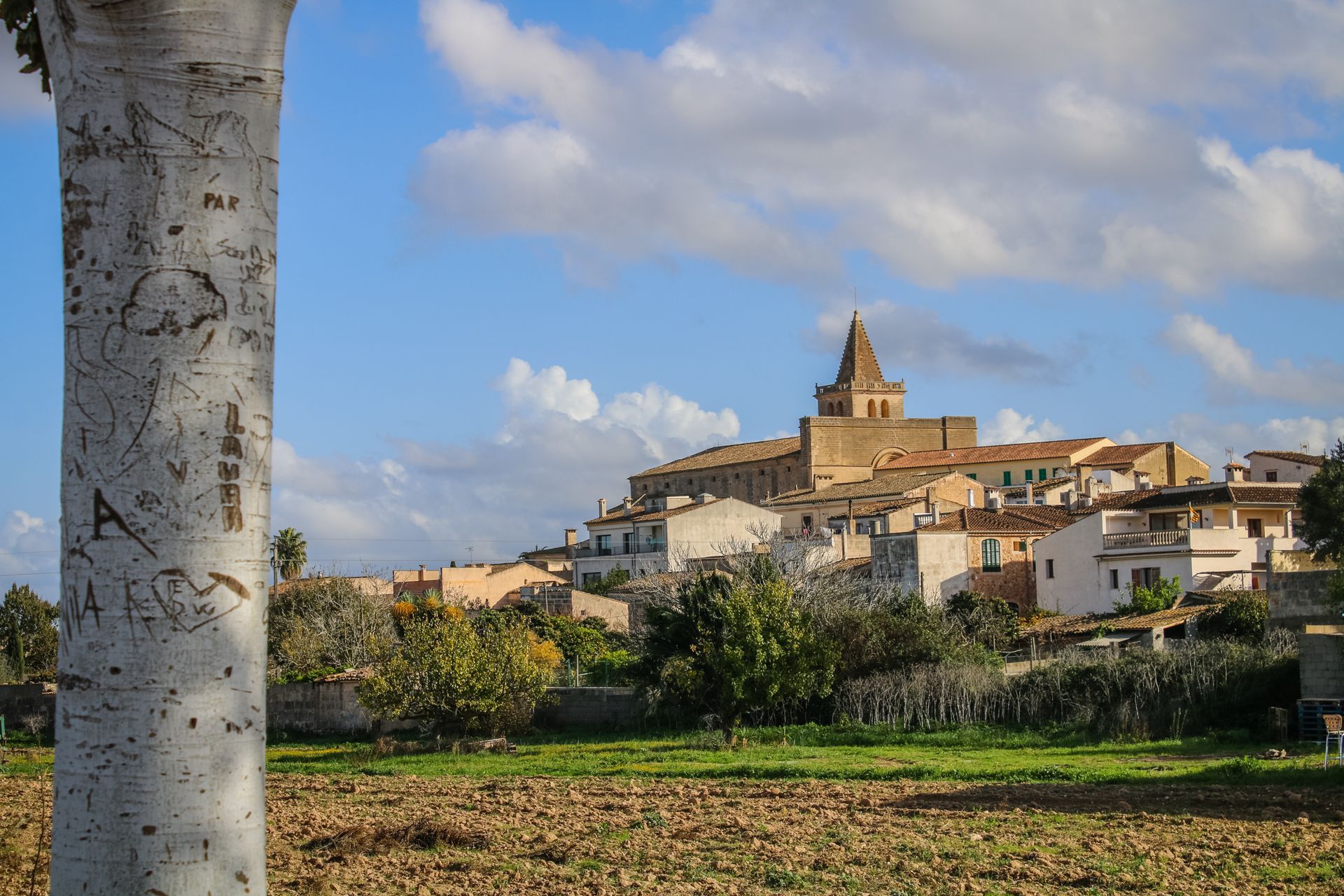 Porreres, Mallorca, Majorca, Spain