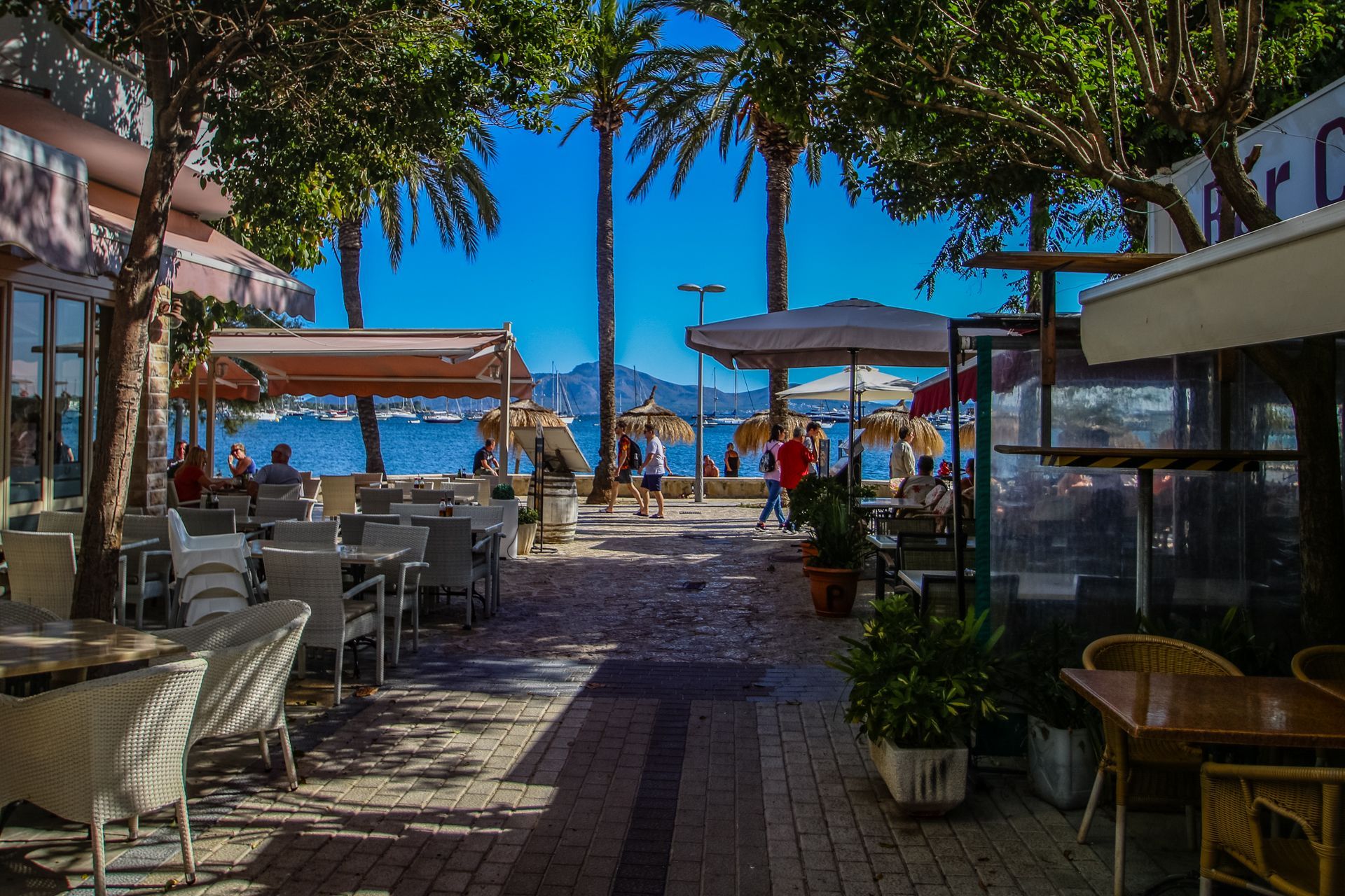 Port de Pollenca, Mallorca, Majorca, Spain