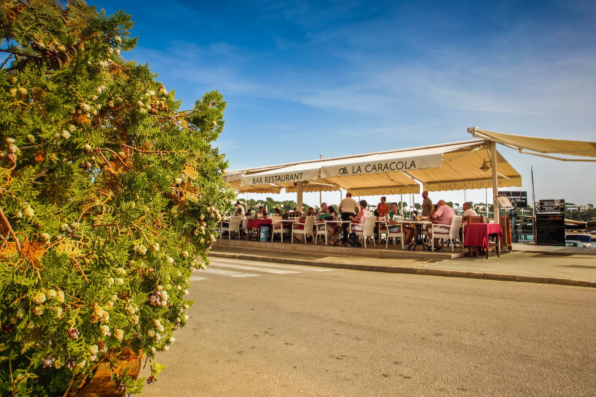 Portopetro, Mallorca, Majorca, Spain