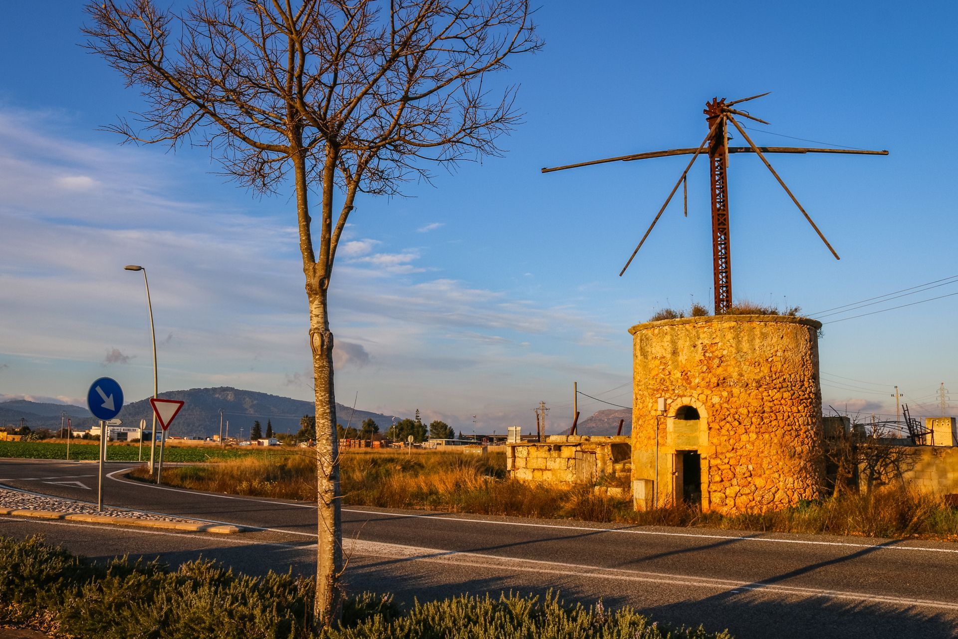 Sa Pobla, Mallorca, Majorca, Spain