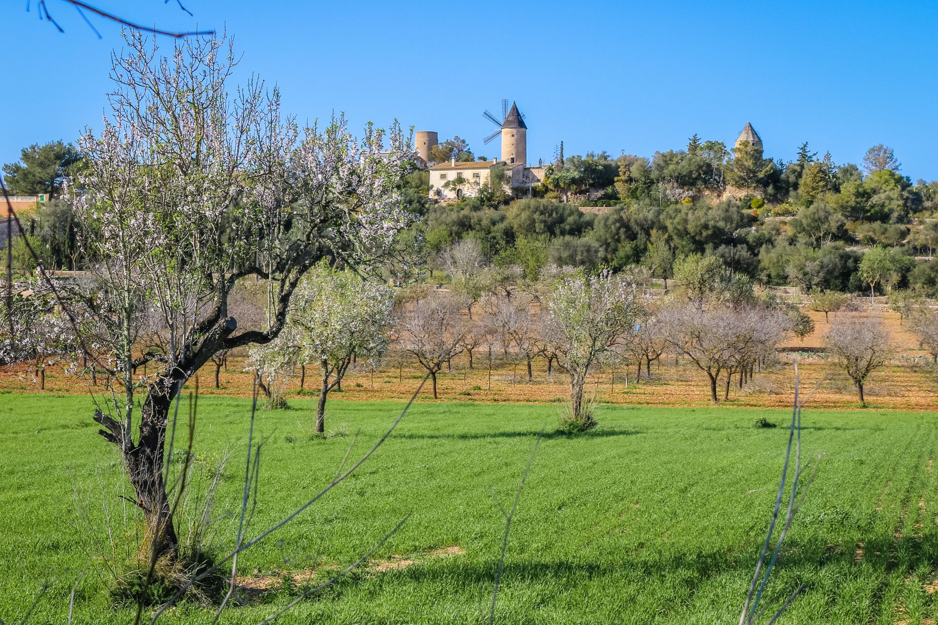 Santa Eugenia, Mallorca, Majorca, Spain