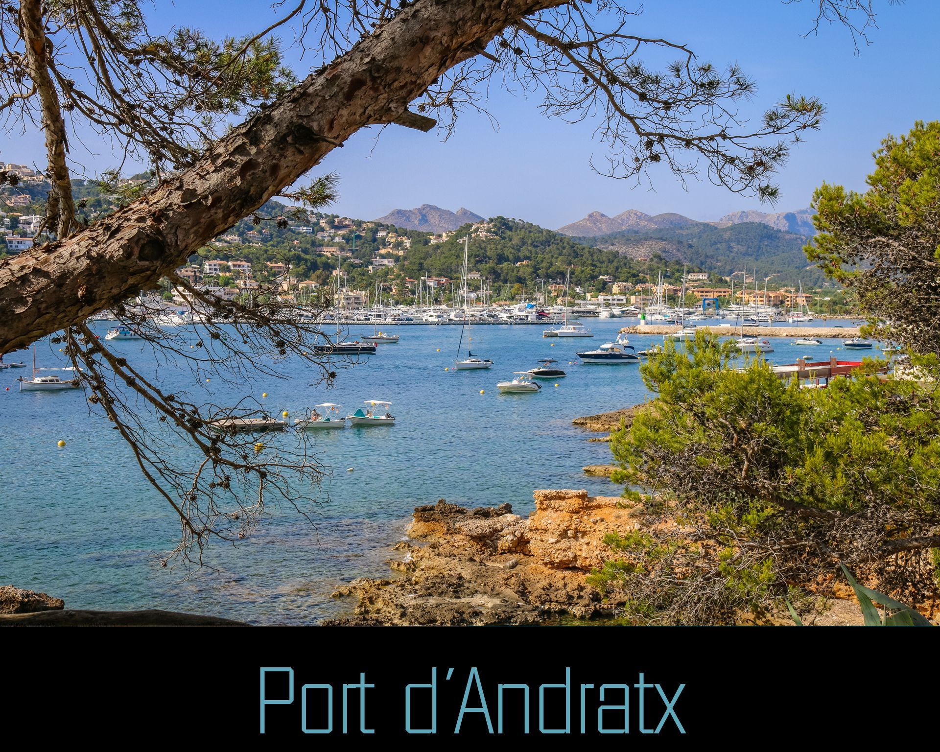 Port d´Andratx on Mallorca
