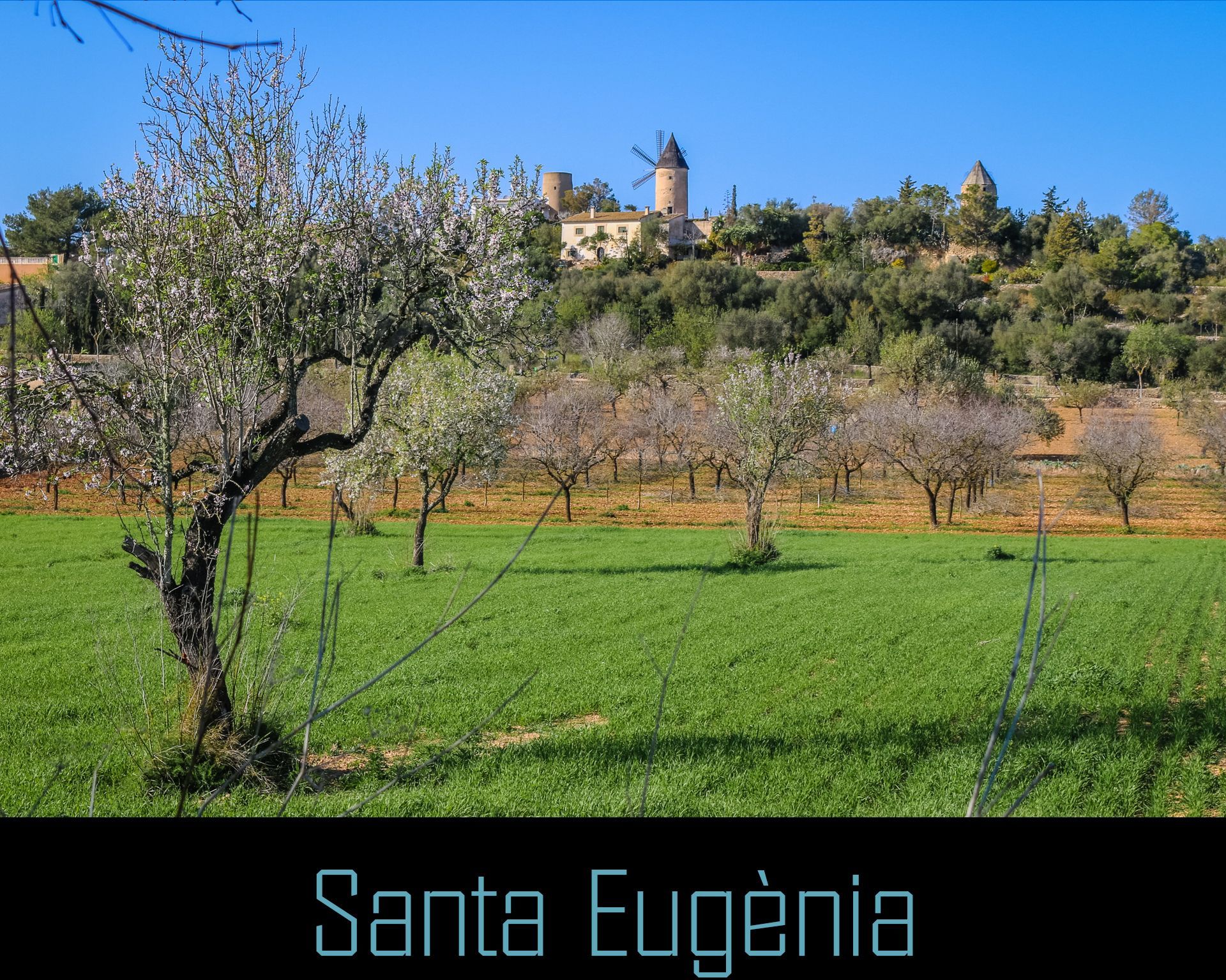 Santa Eugenia on Mallorca