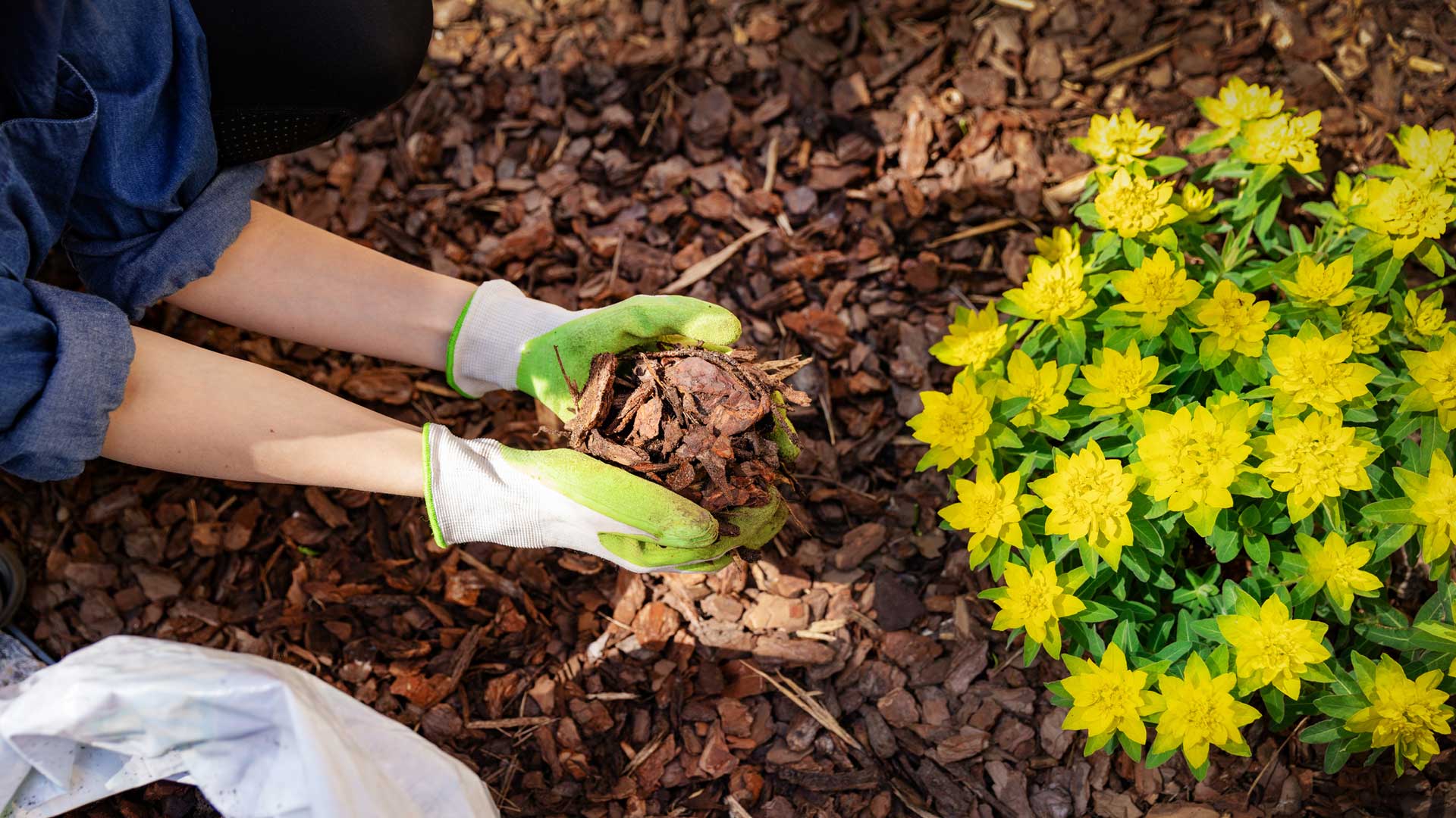 Bark Mulch — Merrimac, MA — Frye's Landscaping Service, Inc.