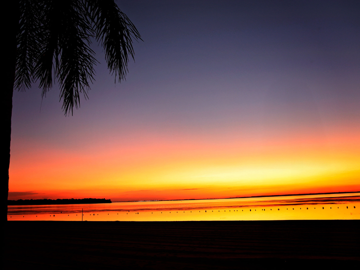 Pôr do sol sobre o oceano calmo, com céu alaranjado e rosado, silhuetas de palmeiras emoldurando o topo.