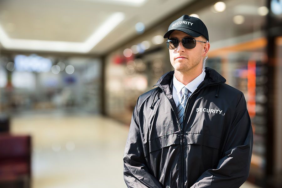 Max Secure Seguridad Privada 