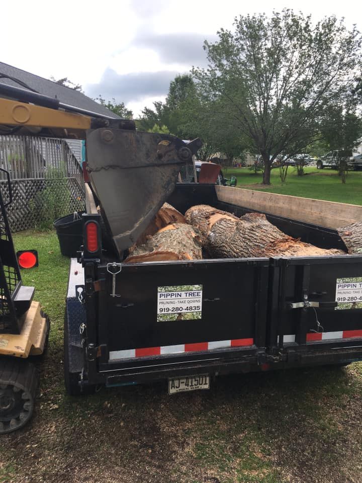 A dumpster filled with logs is parked in a yard