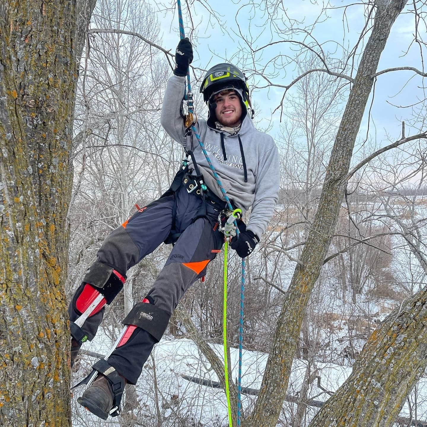 Appleton, WI Tree Services Gallery