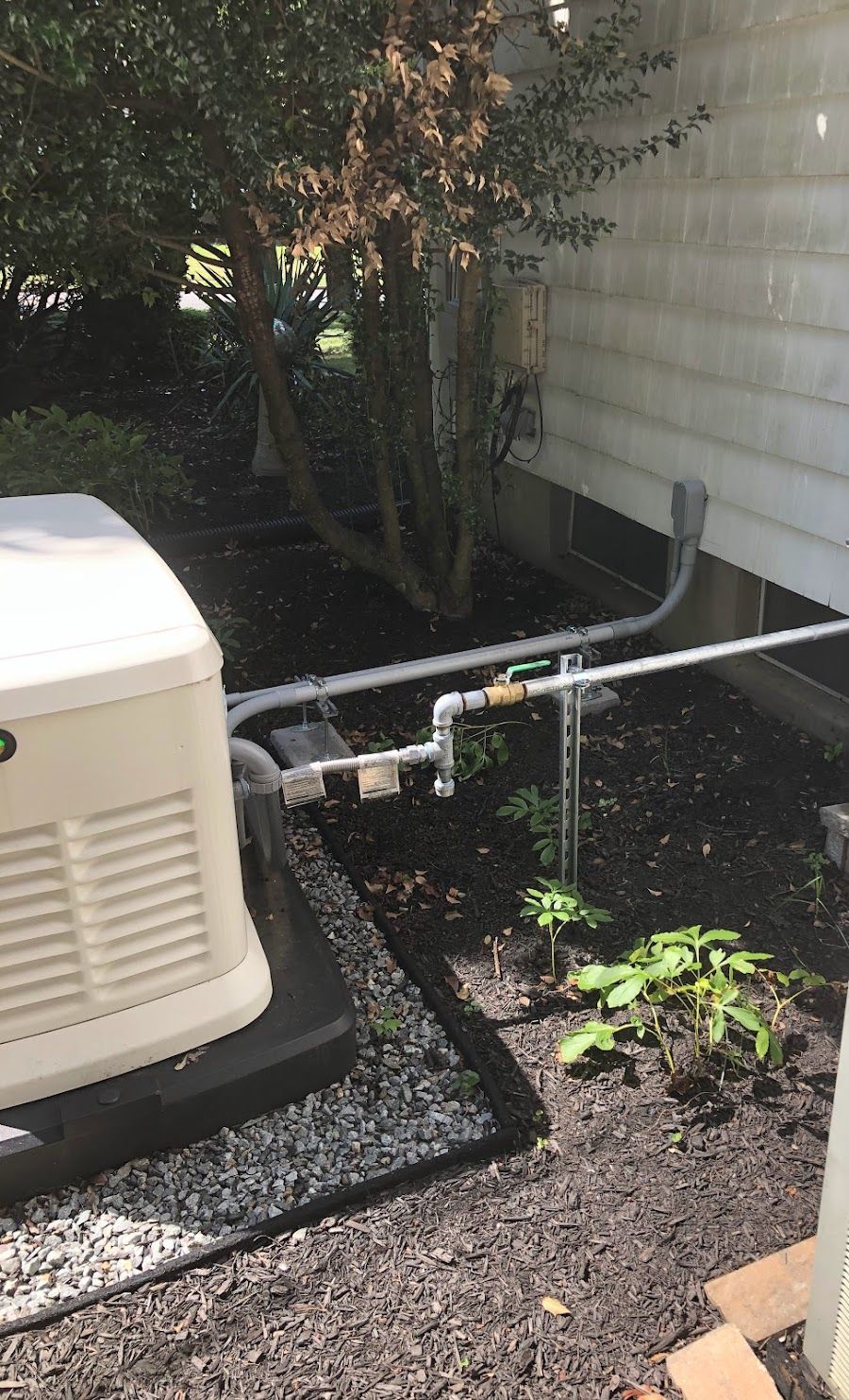 A generator is sitting outside of a house next to a tree.