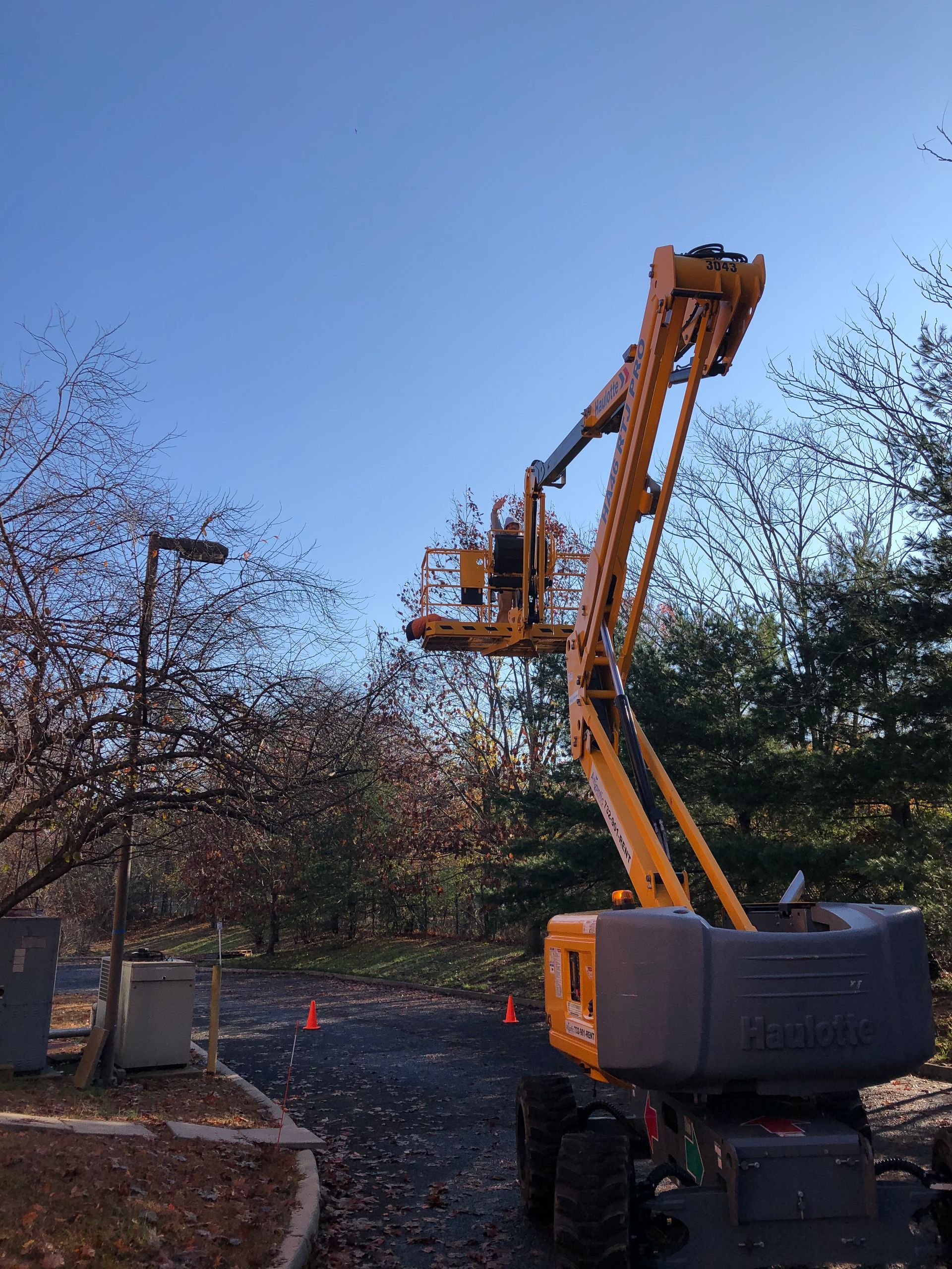 A yellow crane is lifting a tree in a parking lot.